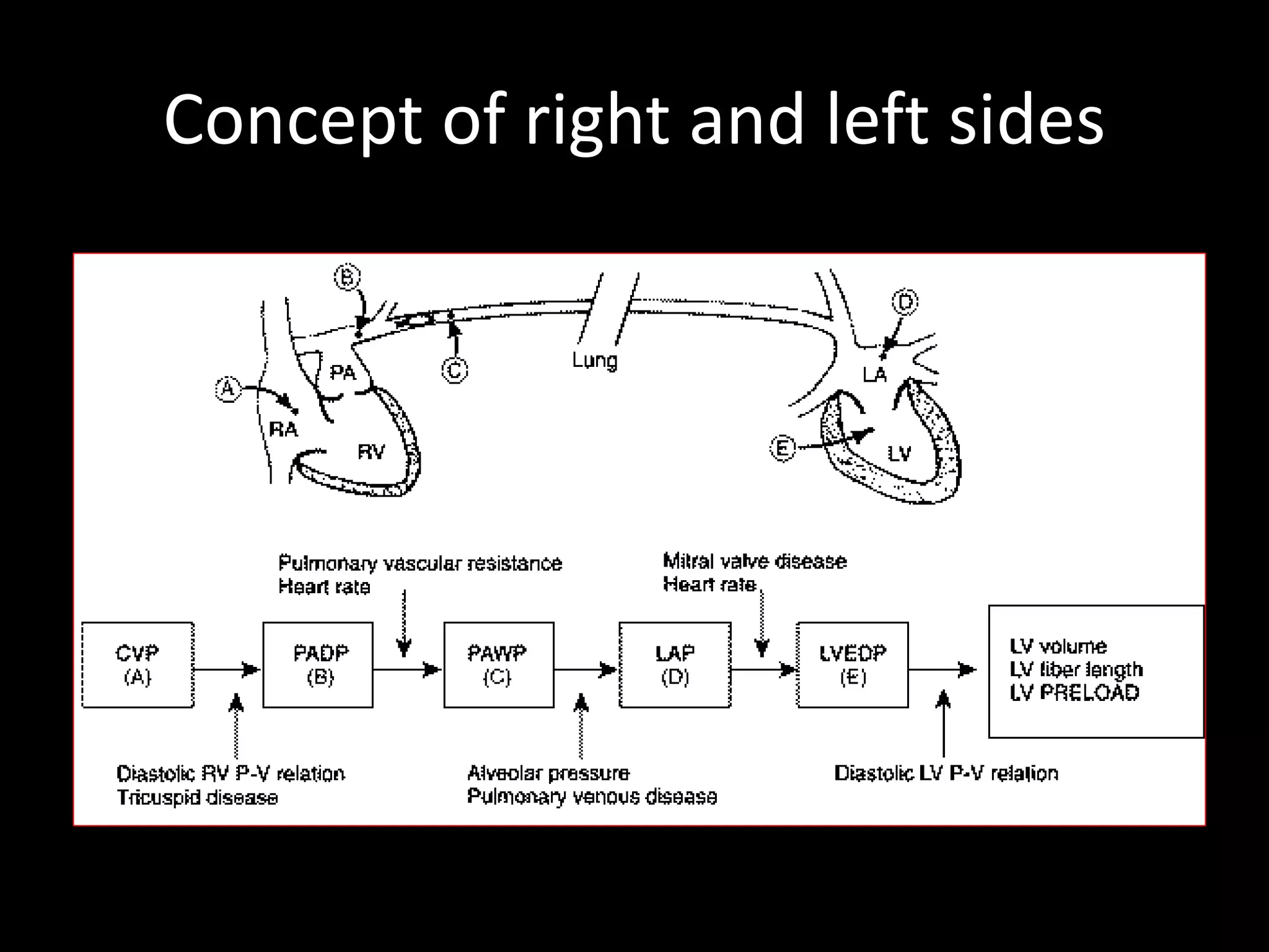 Concept of right and left sides
 