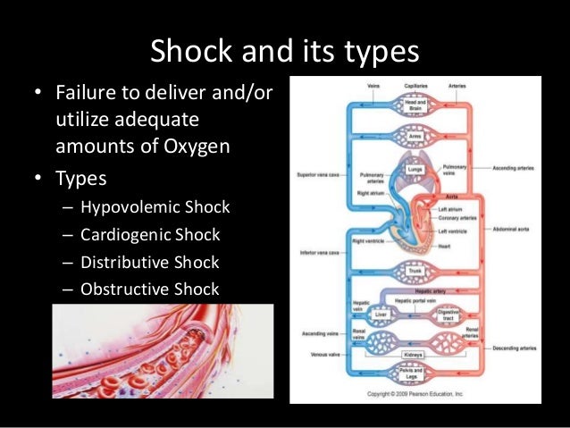 Basic Hemodynamic Monitoring For Nurses