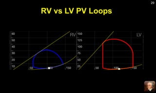 Normal Pv Loop Rv Basic hemodynamic principles viewed through pressure volume relations ...