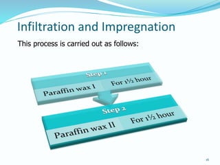 Basic Histopathological Techniques (1).pptx