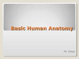 Basic Human Anatomy Mr. Estep 