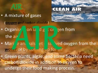 Basic human needs | PPSX