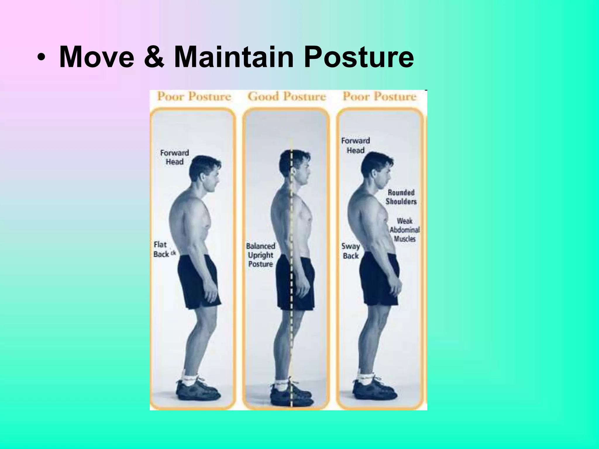 • Move & Maintain Posture
 