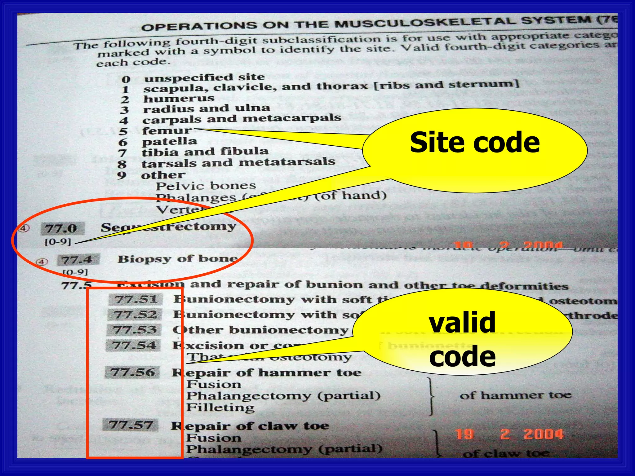 Site code




 valid
 code
 