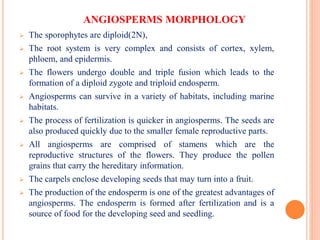 ANGIOSPERMS MORPHOLOGY
 The sporophytes are diploid(2N),
 The root system is very complex and consists of cortex, xylem,
phloem, and epidermis.
 The flowers undergo double and triple fusion which leads to the
formation of a diploid zygote and triploid endosperm.
 Angiosperms can survive in a variety of habitats, including marine
habitats.
 The process of fertilization is quicker in angiosperms. The seeds are
also produced quickly due to the smaller female reproductive parts.
 All angiosperms are comprised of stamens which are the
reproductive structures of the flowers. They produce the pollen
grains that carry the hereditary information.
 The carpels enclose developing seeds that may turn into a fruit.
 The production of the endosperm is one of the greatest advantages of
angiosperms. The endosperm is formed after fertilization and is a
source of food for the developing seed and seedling.
 