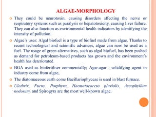 ALGAE-MORPHOLOGY
 They could be neurotoxin, causing disorders affecting the nerve or
respiratory systems such as paralysis or hepatotoxicity, causing liver failure.
They can also function as environmental health indicators by identifying the
intensity of pollution.
 Algae’s uses: Algal biofuel is a type of biofuel made from algae. Thanks to
recent technological and scientific advances, algae can now be used as a
fuel. The usage of green alternatives, such as algal biofuel, has been pushed
as demand for petroleum-based products has grown and the environment’s
health has deteriorated.
 BGA used as biofertiliser commercially; Agar-agar , solidifying agent in
industry come from algae,
 The diatomaceous earth come Bacillariophyceae is used in blast furnace.
 Ulothrix, Fucus, Porphyra, Haematococcus pluvialis, Ascophyllum
nodosum, and Spirogyra are the most well-known algae.
 