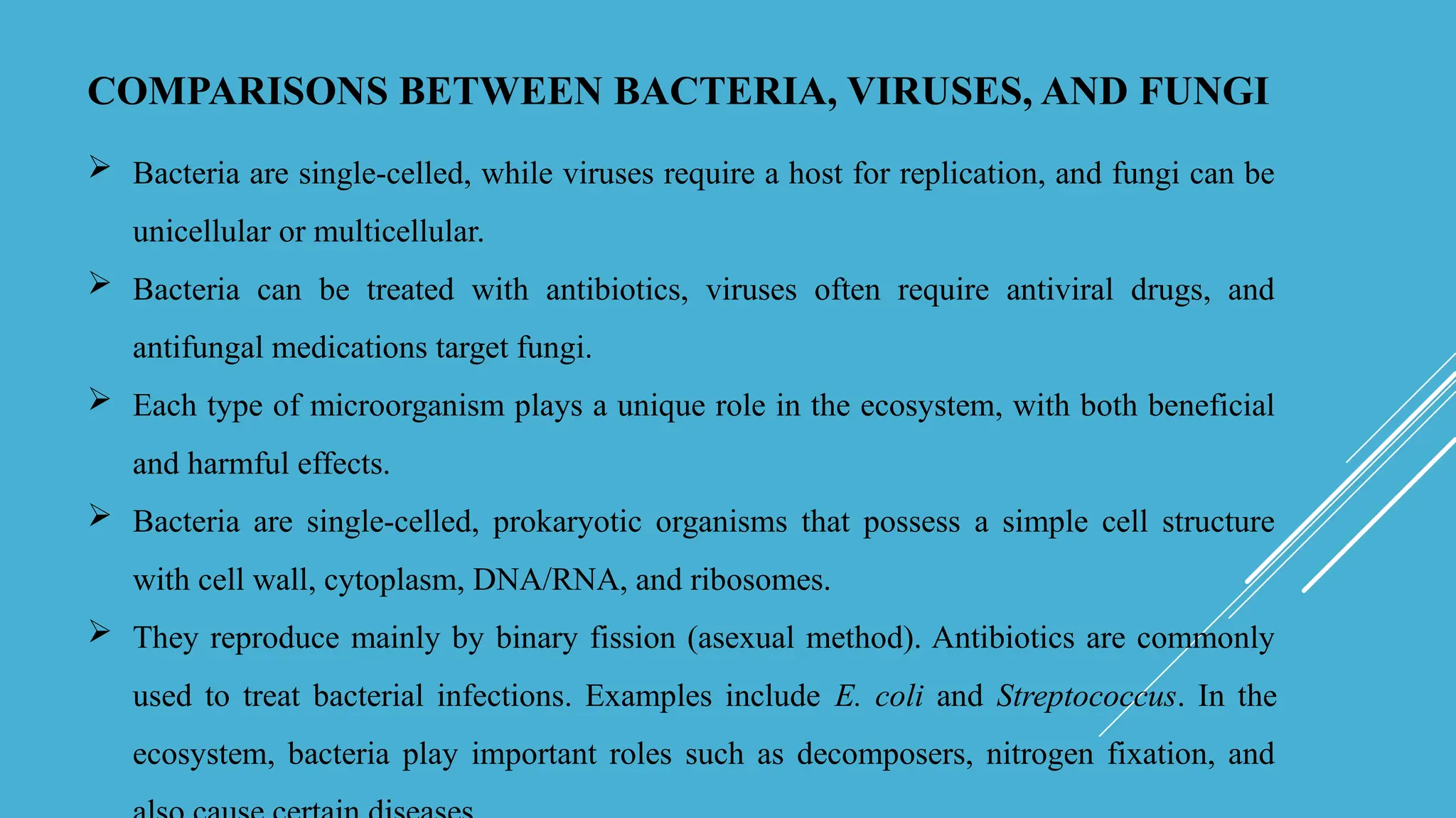 Basic Idea About Types Of Bacteria Virus Fungi | PPTX