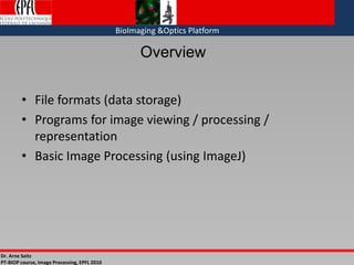 Basic image processing | PDF
