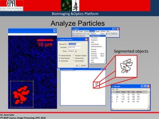 Basic image processing | PDF