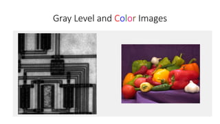 Gray Level Images Example Basic image processing techniques | PPTX