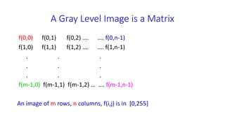 Gray Level Images Example Basic image processing techniques | PPTX