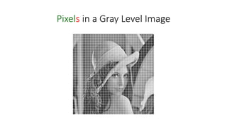 Basic image processing techniques | PPT
