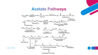 Basici Metabolic Pathways.pptx