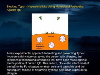 Blocking Type-1 Hypersensitivity Using Monoclonal Antibodies
Against IgE




A new experimental approach to treating and preventing Type-I
hypersensitivity involves, giving the person with allergies, the
injections of monoclonal antibodies that have been made against
the Fc portion of human IgE. This, in turn, blocks the attachment of
the IgE to the Fc receptors on mast cells and basophils and the
subsequent release of histamine by those cells upon exposure to
allergen.
 