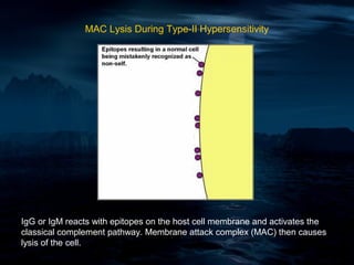 MAC Lysis During Type-II Hypersensitivity




IgG or IgM reacts with epitopes on the host cell membrane and activates the
classical complement pathway. Membrane attack complex (MAC) then causes
lysis of the cell.
 
