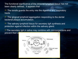 The functional significance of the intraoral lymphoid tissue has not
been clearly defined. It appears that
 The tonsils guards the entry into the digestive and respiratory
tracts
 The gingival lymphoid aggregation responding to the dental
bacterial plaque accumulation.
 The salivary lymphoid tissue for secretary IgA synthesis and
protection against infection within the salivary gland.
The secretary IgA in saliva may combine with microorganisms and
prevent their adherence to the mucosal surface.
 