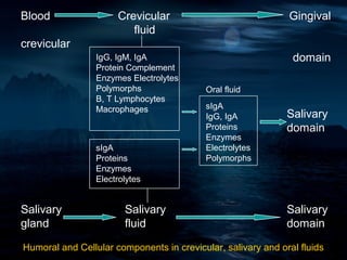 Blood                 Crevicular                              Gingival
                         fluid
crevicular
                 IgG, IgM, IgA                                 domain
                 Protein Complement
                 Enzymes Electrolytes
                 Polymorphs                Oral fluid
                 B, T Lymphocytes
                 Macrophages               sIgA
                                           IgG, IgA           Salivary
                                           Proteins           domain
                                           Enzymes
                 sIgA                      Electrolytes
                 Proteins                  Polymorphs
                 Enzymes
                 Electrolytes


Salivary                Salivary                              Salivary
gland                   fluid                                 domain

Humoral and Cellular components in crevicular, salivary and oral fluids
 