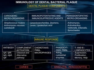 IMMUNOLOGY OF DENTAL BACTERIAL PLAQUE
                        DENTAL PLAQUE COMPONENTS



CARIOGENIC                   IMMUNOPOTENTIATING AND       PERIODONTOPATHIC
MICRO-ORGANISMS              IMMUNOSUPPRESIVE AGENTS      MICRO-ORGANISMS

Streptococcus mutans    Lipopolysaccharides, Dextrans,     Actinomyces,
Actinomyces viscosus    Levan, Lipoteichoic acid           Actinobacillus,
Lactobacilli                                               Veillonella, Eikenalla,
                                                           Spirochaetes



                               IMMUNE RESPONSE


ANTIBODY     COMPLEMENT        CHEMOTAXIS:        PHAGOCYT-        T- AND B -
             ACTIVATION        PMNL,              OSIS: PMNL       LYMPHOCYTES
IgA, IgM,    Classical and     MACROPHAGES        Killing,         Suppression,
IgA, sIgA,   Alternative                          Lysosomal        Proliferation,
IgE          pathway                              enzymes          Memory, Help



               CARIES                           GINGIVITIS, PERIODONTITIS
 