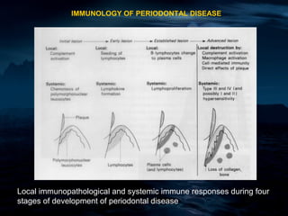 IMMUNOLOGY OF PERIODONTAL DISEASE




Local immunopathological and systemic immune responses during four
stages of development of periodontal disease
 
