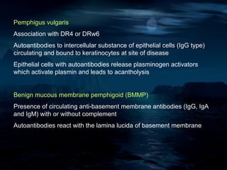 Pemphigus vulgaris
Association with DR4 or DRw6
Autoantibodies to intercellular substance of epithelial cells (IgG type)
circulating and bound to keratinocytes at site of disease
Epithelial cells with autoantibodies release plasminogen activators
which activate plasmin and leads to acantholysis


Benign mucous membrane pemphigoid (BMMP)
Presence of circulating anti-basement membrane antibodies (IgG, IgA
and IgM) with or without complement
Autoantibodies react with the lamina lucida of basement membrane
 