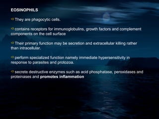 EOSINOPHILS

They are phagocytic cells.

contains receptors for immunoglobulins, growth factors and complement
components on the cell surface

Their primary function may be secretion and extracellular killing rather
than intracellular.

perform specialized function namely immediate hypersensitivity in
response to parasites and protozoa.

secrete destructive enzymes such as acid phosphatase, peroxidases and
proteinases and promotes inflammation
 