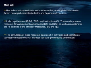 Mast cell

Has inflammatory mediators such as histamine, eosinophils chemotactic
factor, neutrophil chemotactic factor and heparin and zinc ions.


It also synthesizes SRS-A, TNFα and leukotriene C4. These cells possess
receptors for complement components (C3a and C5a) as well as receptors for
the Fc portions of the antibody molecules, IgE and IgG


The stimulation of these receptors can result in activation and secretion of
vasoactive substances that increase vascular permeability and dilation.
 