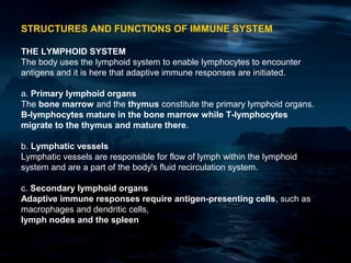 STRUCTURES AND FUNCTIONS OF IMMUNE SYSTEM

THE LYMPHOID SYSTEM
The body uses the lymphoid system to enable lymphocytes to encounter
antigens and it is here that adaptive immune responses are initiated.

a. Primary lymphoid organs
The bone marrow and the thymus constitute the primary lymphoid organs.
B-lymphocytes mature in the bone marrow while T-lymphocytes
migrate to the thymus and mature there.

b. Lymphatic vessels
Lymphatic vessels are responsible for flow of lymph within the lymphoid
system and are a part of the body's fluid recirculation system.

c. Secondary lymphoid organs
Adaptive immune responses require antigen-presenting cells, such as
macrophages and dendritic cells,
lymph nodes and the spleen
 