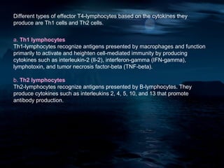 Different types of effector T4-lymphocytes based on the cytokines they
produce are Th1 cells and Th2 cells.


a. Th1 lymphocytes
Th1-lymphocytes recognize antigens presented by macrophages and function
primarily to activate and heighten cell-mediated immunity by producing
cytokines such as interleukin-2 (Il-2), interferon-gamma (IFN-gamma),
lymphotoxin, and tumor necrosis factor-beta (TNF-beta).

b. Th2 lymphocytes
Th2-lymphocytes recognize antigens presented by B-lymphocytes. They
produce cytokines such as interleukins 2, 4, 5, 10, and 13 that promote
antibody production.
 