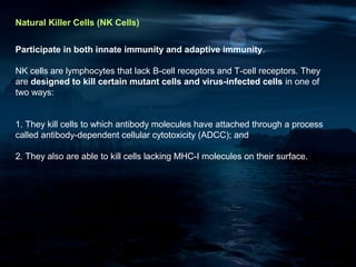 Natural Killer Cells (NK Cells)


Participate in both innate immunity and adaptive immunity.

NK cells are lymphocytes that lack B-cell receptors and T-cell receptors. They
are designed to kill certain mutant cells and virus-infected cells in one of
two ways:


1. They kill cells to which antibody molecules have attached through a process
called antibody-dependent cellular cytotoxicity (ADCC); and

2. They also are able to kill cells lacking MHC-I molecules on their surface.
 