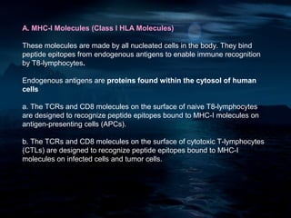 A. MHC-I Molecules (Class I HLA Molecules)

These molecules are made by all nucleated cells in the body. They bind
peptide epitopes from endogenous antigens to enable immune recognition
by T8-lymphocytes.

Endogenous antigens are proteins found within the cytosol of human
cells

a. The TCRs and CD8 molecules on the surface of naive T8-lymphocytes
are designed to recognize peptide epitopes bound to MHC-I molecules on
antigen-presenting cells (APCs).

b. The TCRs and CD8 molecules on the surface of cytotoxic T-lymphocytes
(CTLs) are designed to recognize peptide epitopes bound to MHC-I
molecules on infected cells and tumor cells.
 