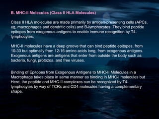 B. MHC-II Molecules (Class II HLA Molecules)

Class II HLA molecules are made primarily by antigen-presenting cells (APCs,
eg, macrophages and dendritic cells) and B-lymphocytes. They bind peptide
epitopes from exogenous antigens to enable immune recognition by T4-
lymphocytes.

MHC-II molecules have a deep groove that can bind peptide epitopes, from
10-30 but optimally from 12-16 amino acids long, from exogenous antigens.
Exogenous antigens are antigens that enter from outside the body such as
bacteria, fungi, protozoa, and free viruses.


Binding of Epitopes from Exogenous Antigens to MHC-II Molecules in a
Macrophage takes place in same manner as binding in MHC-I molecules but
Here, the peptide and MHC-II complexes can be recognized by T4-
lymphocytes by way of TCRs and CD4 molecules having a complementary
shape.
 