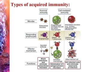 Types of acquired immunity:
 