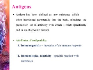 Antigens
• Antigen has been defined as any substance which
when introduced parenterally into the body, stimulates the
production of an antibody with which it reacts specifically
and in an observable manner.
• Attributes of antigenicity:
1. Immunogenicity – induction of an immune response
2. Immunological reactivity – specific reaction with
antibodies
 