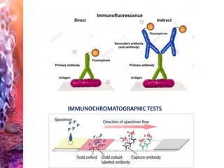IMMUNOCHROMATOGRAPHIC TESTS
 