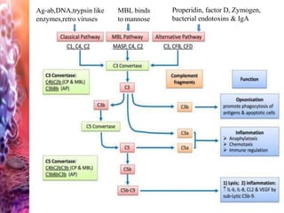 Ag-ab,DNA,trypsin like
enzymes,retro viruses
Properidin, factor D, Zymogen,
bacterial endotoxins & IgA
MBL binds
to mannose
 