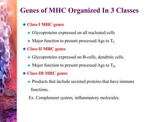 Genes of MHC Organized In 3 Classes
⚫ Class I MHC genes
⚫ Glycoproteins expressed on all nucleated cells
⚫ Major function to present processed Ags to TC
⚫ Class II MHC genes
⚫ Glycoproteins expressed on B-cells, dendritic cells.
⚫ Major function to present processed Ags to TH
⚫ Class III MHC genes
⚫ Products that include secreted proteins that have immune
functions.
Ex. Complement system, inflammatory molecules.
 
