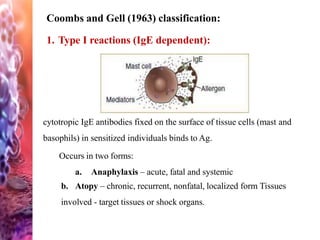 Coombs and Gell (1963) classification:
1. Type I reactions (IgE dependent):
cytotropic IgE antibodies fixed on the surface of tissue cells (mast and
basophils) in sensitized individuals binds to Ag.
Occurs in two forms:
a. Anaphylaxis – acute, fatal and systemic
b. Atopy – chronic, recurrent, nonfatal, localized form Tissues
involved - target tissues or shock organs.
 