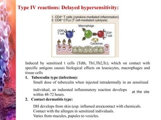 Type IV reactions: Delayed hypersensitivity:
Induced by sensitized t cells (Tdth, Th1,Th2,Tc), which on contact with
specific antigens causes biological effects on leucocytes, macrophages and
tissue cells
1. Tuberculin type (infection):
Small dose of tuberculin when injected intradermally in an sensitized
at the site
individual, an indurated inflammatory reaction develops
within 48-72 hours.
2. Contact dermatitis type:
DH develops from skin (esp. inflamed area)contact with chemicals.
Contact with the allergen in sensitized individuals.
Varies from macules, papules to vesicles.
 