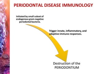 PERIODONTAL DISEASE IMMUNOLOGY
Initiated by small subset of
endogenous gram-negative
periodontal bacteria.
Trigger innate, inflammatory, and
adaptive immune responses.
Destruction of the
PERIODONTIUM
 