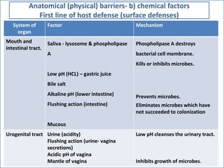 System of
organ
Factor Mechanism
Mouth and
intestinal tract.
Saliva - lysosome & phospholipase
A
Low pH (HCL) – gastric juice
Bile salt
Alkaline pH (lower intestine)
Flushing action (intestine)
Mucous
Phospholipase A destroys
bacterial cell membrane.
Kills or inhibits microbes.
Prevents microbes.
Eliminates microbes which have
not succeeded to colonization
Urogenital tract Urine (acidity)
Flushing action (urine- vagina
secretions)
Acidic pH of vagina
Mantle of vagina
Low pH cleanses the urinary tract.
Inhibits growth of microbes.
Anatomical (physical) barriers- b) chemical factors
First line of host defense (surface defenses)
 
