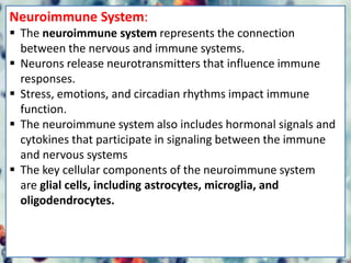Neuroimmune System:
 The neuroimmune system represents the connection
between the nervous and immune systems.
 Neurons release neurotransmitters that influence immune
responses.
 Stress, emotions, and circadian rhythms impact immune
function.
 The neuroimmune system also includes hormonal signals and
cytokines that participate in signaling between the immune
and nervous systems
 The key cellular components of the neuroimmune system
are glial cells, including astrocytes, microglia, and
oligodendrocytes.
 