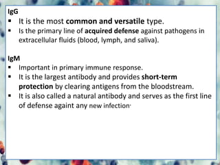 IgG
 It is the most common and versatile type.
 Is the primary line of acquired defense against pathogens in
extracellular fluids (blood, lymph, and saliva).
IgM
 Important in primary immune response.
 It is the largest antibody and provides short-term
protection by clearing antigens from the bloodstream.
 It is also called a natural antibody and serves as the first line
of defense againt any new infection.
 