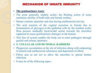 MECHANISM OF INNATE IMMUNITY
 The genitourinary tract:
 The urine generally slightly acidic; the flushing action of urine
maintains sterility of both male and female urethra,
 Semen contains spermine and zinc having antibacterial activity,
 The acid reaction of the vaginal secretion in female due to
fermentation of glycogen in the epithelial cells by the resident acidic
flora possess markedly bactericidal action towards the microbes
supposed to cause genitourinary damages in the human,
 This line of system enables the body not to enter pathogens through
genital and urinary apertures.
 B. CELLULAR AND HUMORAL BARRIERS
 Phagocytes accumulates at the site of infection along with outpouring
of natural and antibacterial substances and deposition of fibrin,
 Fibrin acts as net not to allow the microbes to spread further
infection,
 It may be of the following types-
 