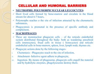 CELLULAR AND HUMORAL BARRIERS
 NEUTROPHIL POLYMORPH NUCLEAR LEUCOCYTES:
 Short lived cells formed by bone-marrow and circulate in the blood
stream for about 6-7 hours,
 Polymorphs reaches o the site of infection attracted by the chemotactic
substances,
 Phagocytosis is promoted in the presence of specific antibody and
complement,
 MACROPHAGES
 These are mononuclear phagocyte cells – of the reticulo endothelial
system distributed throughout the body- both as wandering amoeboid
cells (monocytes), fixed cells in tissue ( histocyctes) and reticulo
endothelial cells in bone-marrow, spleen, liver, lymph node, thymus etc.
 Phagocyte actions done by the following stages-
i. Chemotaxis - Phagocytes reach to the site of infection,
ii. Attachment- Infective agent adhere to phagocyte,
iii. Ingestion- By means of phagosome, phagocyte cells engulf the material
and by hydrolytic enzymes, phagolysosome destroy them.
 