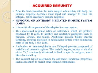 ACQUIRED IMMUNITY
 After the first encounter, the same antigen when enters into body, the
immune response becomes more rapid and stronger to resist the
antigen , called secondary immune response.
 HUMORAL OR ANTIBODY MEDIATED IMMUNE SYSTEM
(AMIS)
 It is a critical component of the adaptive immune system.
 This specialized response relies on antibodies, which are proteins
produced by B cells, to identify and neutralize pathogens such as
bacteria, viruses, and toxins. Antibodies provide highly specific
targeting, ensuring precision in neutralizing threats while minimizing
harm to the body’s own cells.
 Antibodies, or immunoglobulin, are Y-shaped proteins composed of
variable and constant regions. The variable region, located at the tips
of the "Y," is uniquely structured to bind to specific antigens, much
like a lock and key.
 The constant region determines the antibody's functional properties,
such as its ability to recruit other immune components.
 
