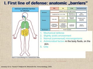 Basic Immunology, Innate immunity : inflamation, leukocyte, migration.pptx