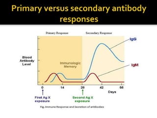 Basic immunology, antigens and antibodies | PPTX