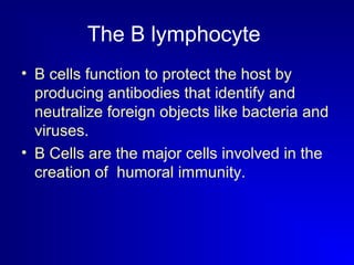 The B lymphocyte 
• B cells function to protect the host by 
producing antibodies that identify and 
neutralize foreign objects like bacteria and 
viruses. 
• B Cells are the major cells involved in the 
creation of humoral immunity. 
 