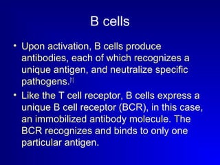 B cells 
• Upon activation, B cells produce 
antibodies, each of which recognizes a 
unique antigen, and neutralize specific 
pathogens.[1] 
• Like the T cell receptor, B cells express a 
unique B cell receptor (BCR), in this case, 
an immobilized antibody molecule. The 
BCR recognizes and binds to only one 
particular antigen. 
 