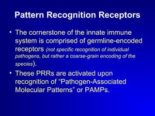 Pattern Recognition Receptors 
• The cornerstone of the innate immune 
system is comprised of germline-encoded 
receptors (not specific recognition of individual 
pathogens, but rather a coarse-grain encoding of the 
species). 
• These PRRs are activated upon 
recognition of “Pathogen-Associated 
Molecular Patterns” or PAMPs. 
 